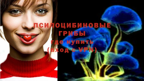 трава Балабаново