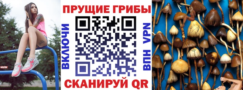 Галлюциногенные грибы MAGIC MUSHROOMS  Купить закладки  Медынь 